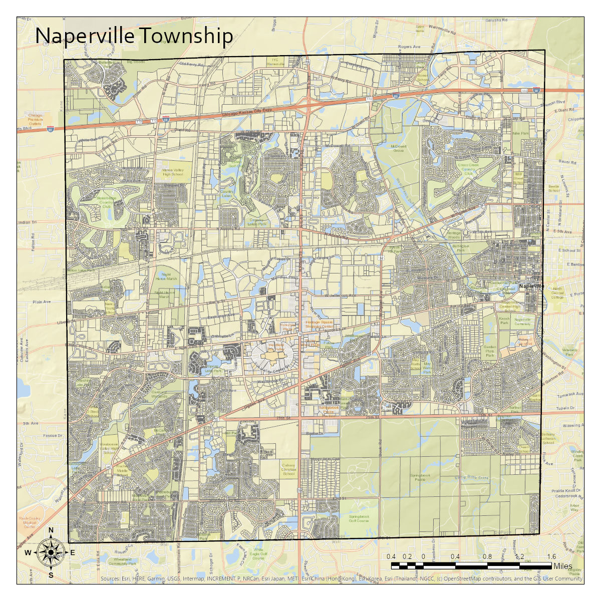 Naperville Township Map